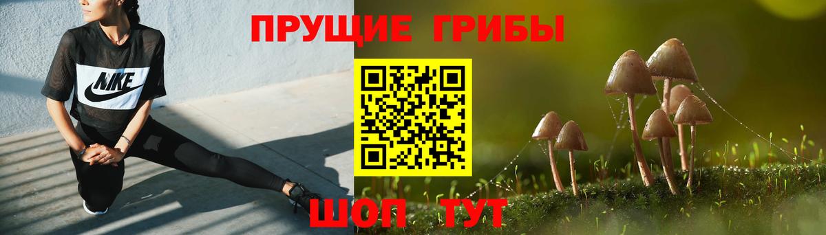 Коркино  Псилоцибиновые грибы Psilocybe  Вход с VPN 